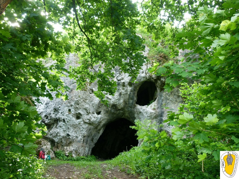 Çwiczenia kursu. Jaskinia Jasna w Strzegowej