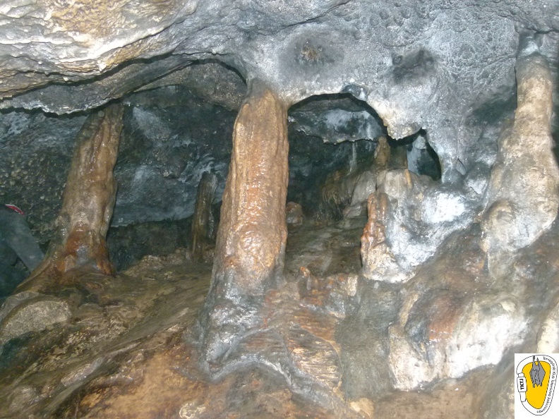 Znajdują się w niej liczne słupy naciekowe (stalagnaty) podpierające strop, w niektórych miejscach tworzące „kolumnady”.P3330721