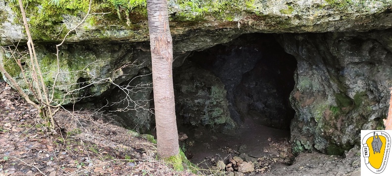 Jaskinia Trzebniowska IMG20240302125238