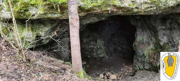 Jaskinia Trzebniowska IMG20240302125238