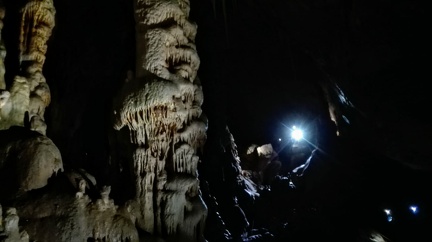 IMG-20211008-WA0015