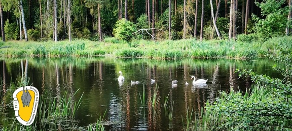 II rajd, staw drugi na Śliwie- Woźniki