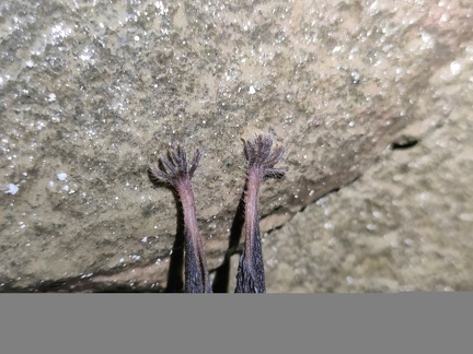 IMG 20250524 163613